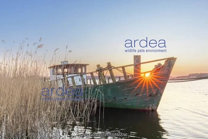 : Fishing boat Zecherin : Fishing boat Zecherin