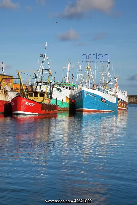: Fishing boats : Fishing boats