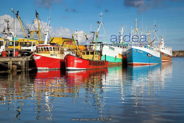 : Fishing boats : Fishing boats