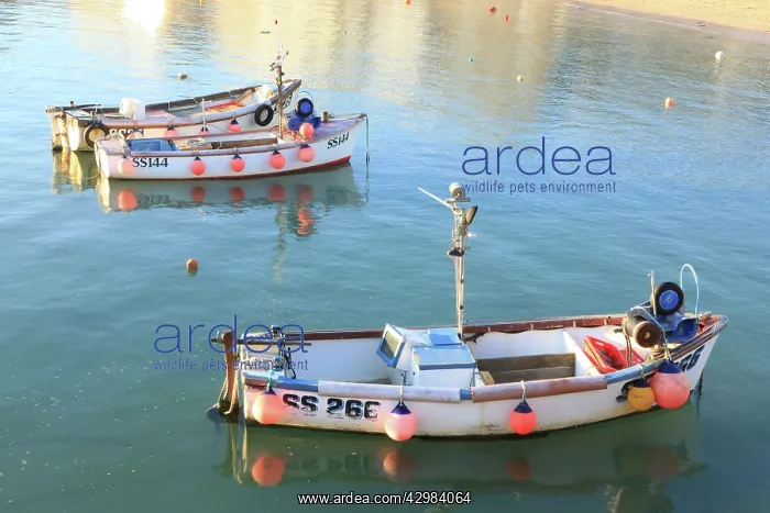: Fishing Boats : Fishing Boats