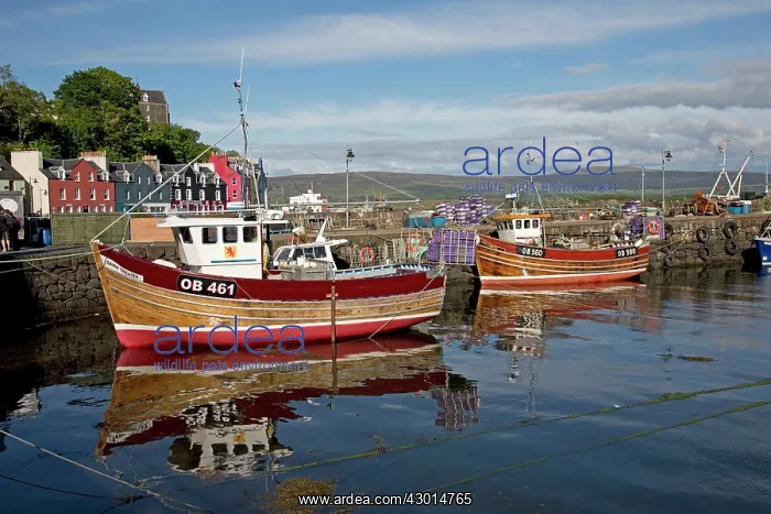 : Fishing Boats : Fishing Boats