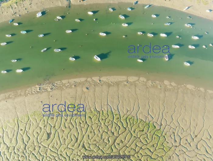 : Fishing boats in the Carreras river and its adjacent : Fishing boats in the Carreras river and its adjacent