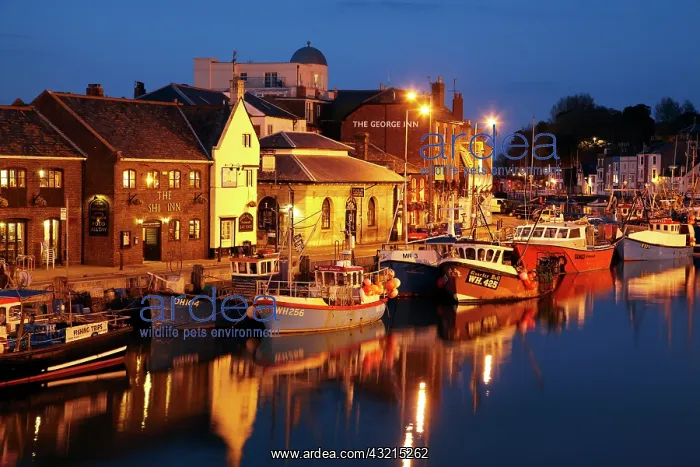 : Fishing boats and Custom House Quay at dusk, Weymouth : Fishing boats and Custom House Quay at dusk, Weymouth