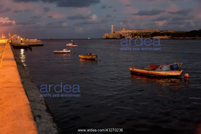  : Fishing boats and El Morro Lighthouse, Havana