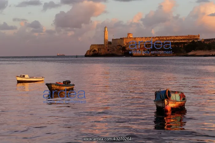: Fishing boats and El Morro Lighthouse, Havana : Fishing boats and El Morro Lighthouse, Havana