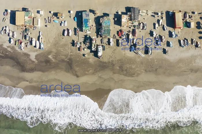 : Fishing boats and fishermen cottages at the beach : Fishing boats and fishermen cottages at the beach