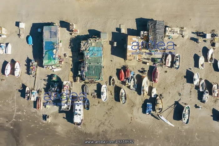 : Fishing boats and fishermen cottages at the beach : Fishing boats and fishermen cottages at the beach