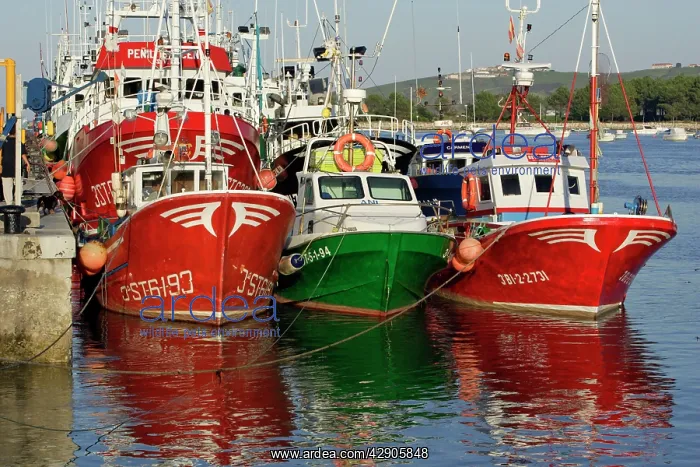 : Fishing boats in harbour of St vincente de la Barquera : Fishing boats in harbour of St vincente de la Barquera