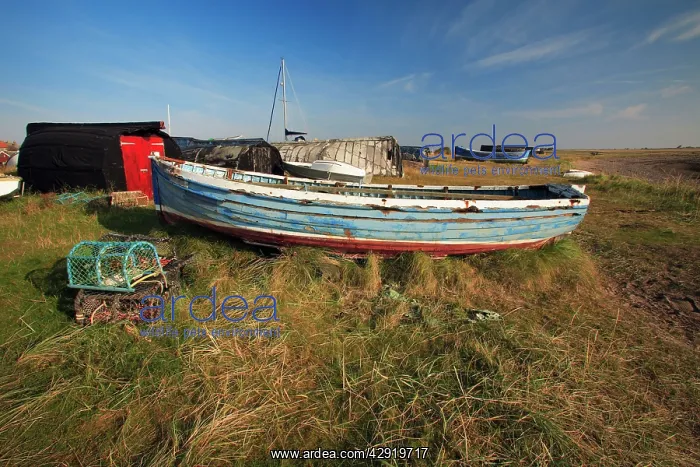: Fishing Boats and Lobster Traps - on Lindisfarne beach : Fishing Boats and Lobster Traps - on Lindisfarne beach