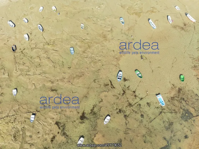 : Fishing boats at low tide in the town of Cádiz : Fishing boats at low tide in the town of Cádiz
