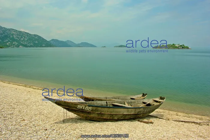  : Fishing boats at Murici beach, Lake Skadar