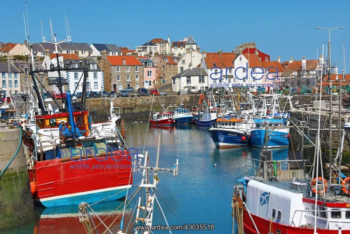 : Fishing Boats in Pittenweem Harbour, Fife, Scotland : Fishing Boats in Pittenweem Harbour, Fife, Scotland