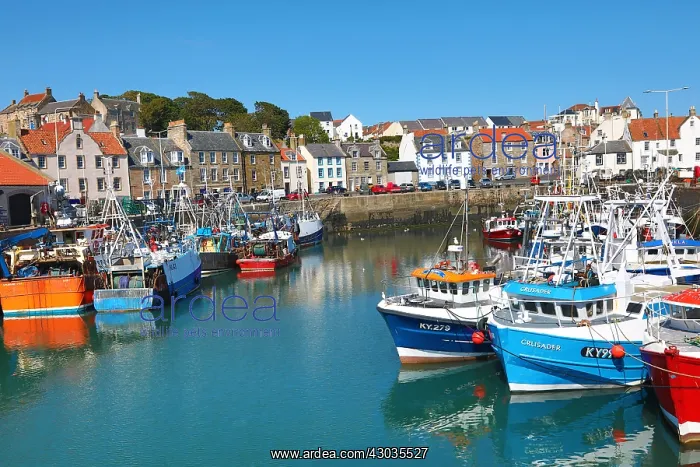 : Fishing Boats in Pittenweem Harbour, Fife, Scotland : Fishing Boats in Pittenweem Harbour, Fife, Scotland