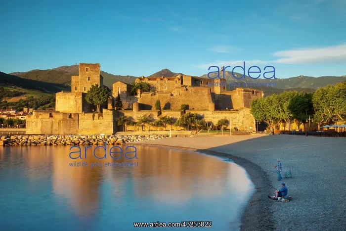 : Fishing at dawn below the Royal Castle and : Fishing at dawn below the Royal Castle and