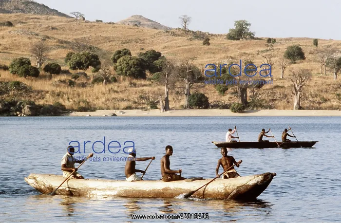 : Fishing in dugouts on Lake Malawi, Africa : Fishing in dugouts on Lake Malawi, Africa