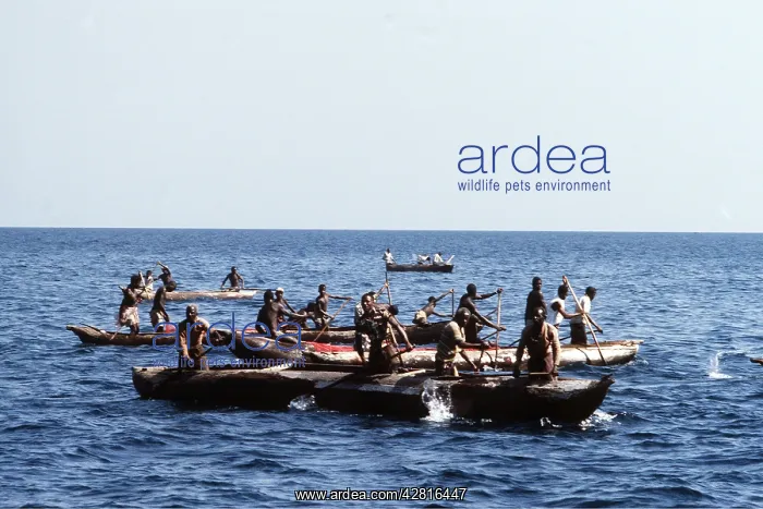 : FISHING - Fishermen in boats : FISHING - Fishermen in boats