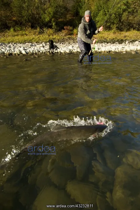 : Fishing guide Will Blanchard fly fishing : Fishing guide Will Blanchard fly fishing