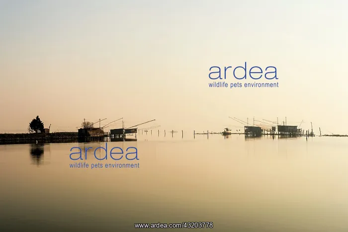 : Fishing Houses - in the mist : Fishing Houses - in the mist