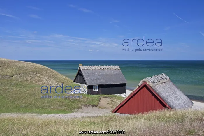  : Fishing huts in the dunes along the Baltic Sea