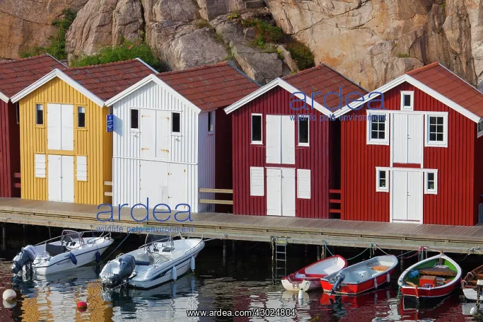  : Fishing huts Smoegen Colourful Traditional Fishing Huts