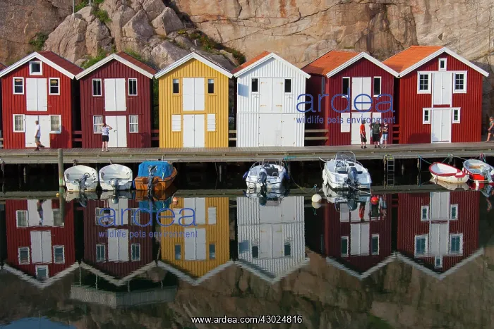 : Fishing huts Smoegen Colourful Traditional Fishing Huts : Fishing huts Smoegen Colourful Traditional Fishing Huts