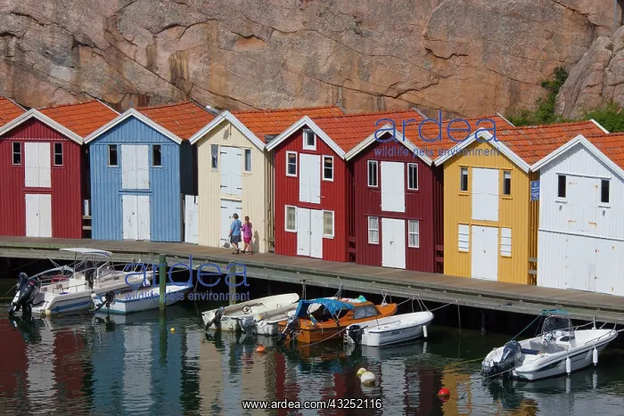 : Fishing huts Smoegen Colourful Traditional Fishing Huts : Fishing huts Smoegen Colourful Traditional Fishing Huts