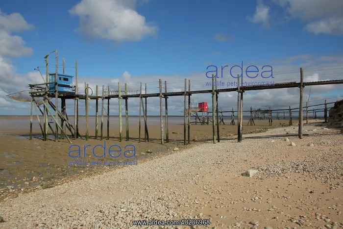: Fishing Jetty, Pointe Saint Clement, Esnandes, Vendee : Fishing Jetty, Pointe Saint Clement, Esnandes, Vendee