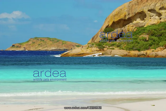 : Fishing in Lucky Bay, Cape Le Grand National : Fishing in Lucky Bay, Cape Le Grand National
