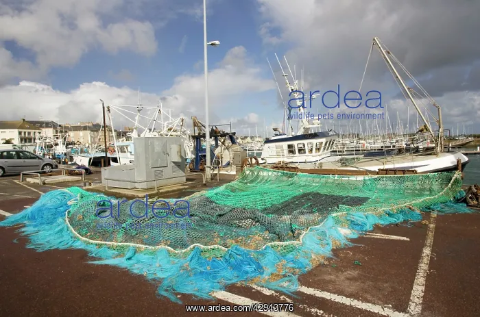 : Fishing nets and trawlers on quayside : Fishing nets and trawlers on quayside