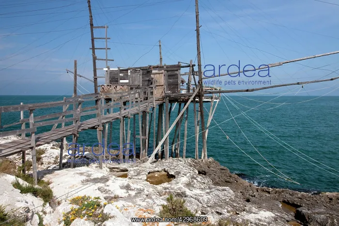 : Fishing platform or Trabucco - ancient design - : Fishing platform or Trabucco - ancient design -