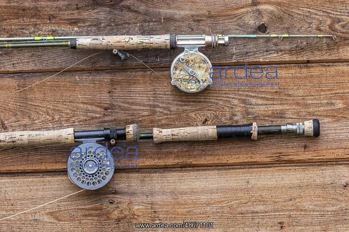 : Fishing poles on cabin wall at fishing camp on the Alagnak : Fishing poles on cabin wall at fishing camp on the Alagnak