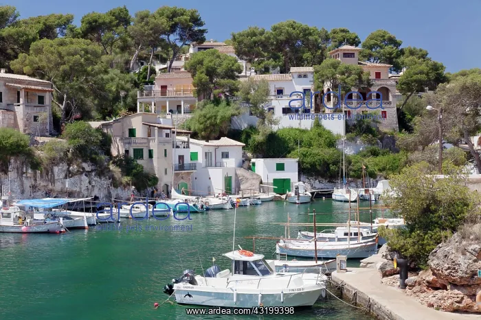 : Fishing port of Cala Figuera, Majorca, Balearic : Fishing port of Cala Figuera, Majorca, Balearic