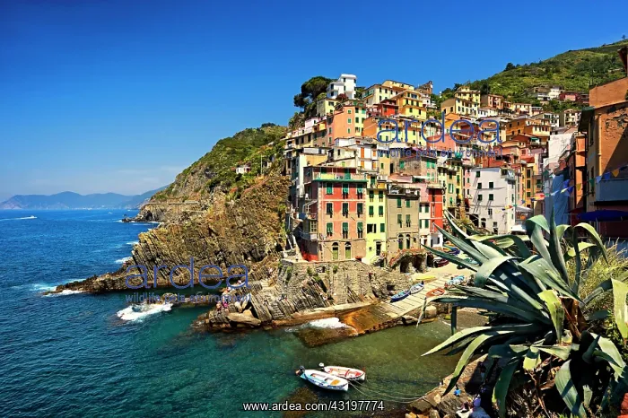 : Fishing port of Riomaggiore, Cinque Terre National : Fishing port of Riomaggiore, Cinque Terre National