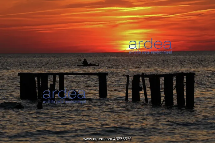 : Fishing at sunset, Delaware bay. New Jersey : Fishing at sunset, Delaware bay. New Jersey