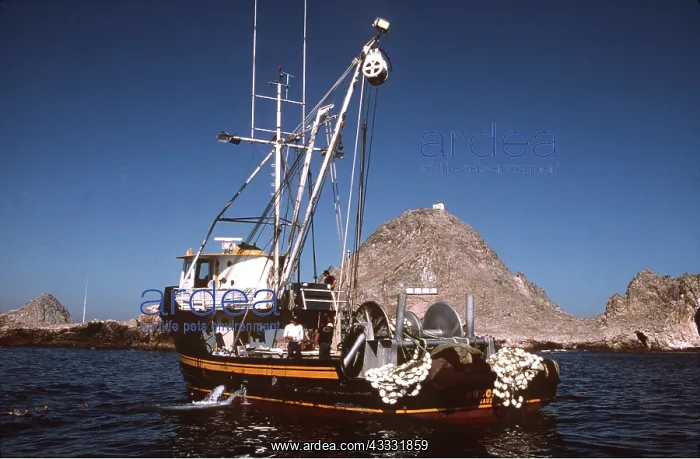 : Fishing Trawler : Fishing Trawler
