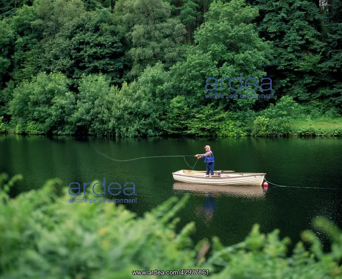 : FISHING - for trout from boat, angler casts line : FISHING - for trout from boat, angler casts line