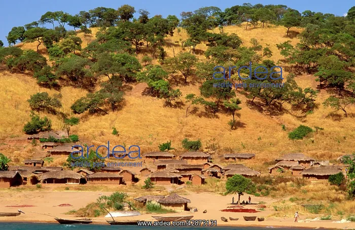  : Fishing village on eastern shore of Lake Tanganyika