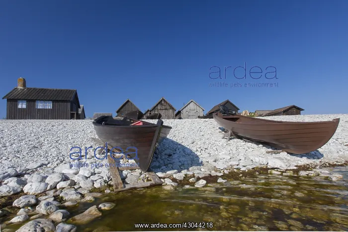: Fishing village Helgumannen at island Faroe - : Fishing village Helgumannen at island Faroe -