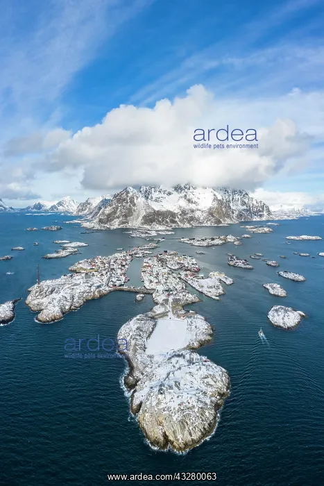 : Fishing village Henningsvaer, Austv&, x59f8;ya, Lofoten : Fishing village Henningsvaer, Austv&, x59f8;ya, Lofoten