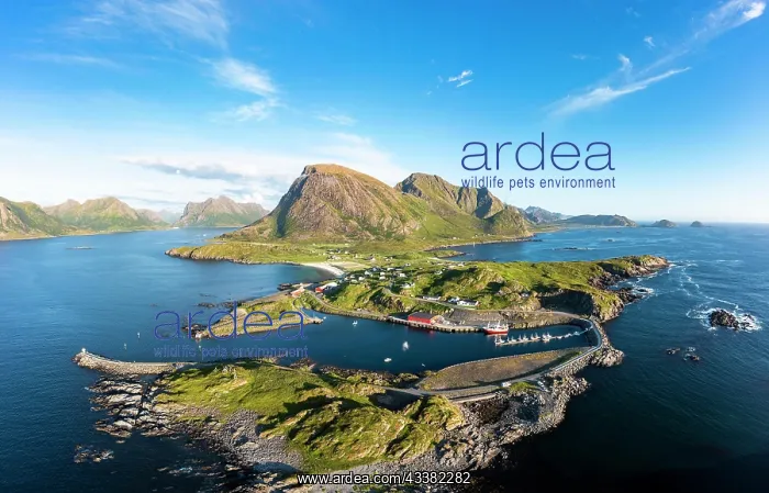 : Fishing village Hovden, coast, fjords and mounta : Fishing village Hovden, coast, fjords and mounta