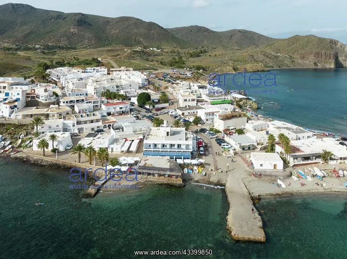 : The fishing village of La Isleta del Moro. Aerial : The fishing village of La Isleta del Moro. Aerial