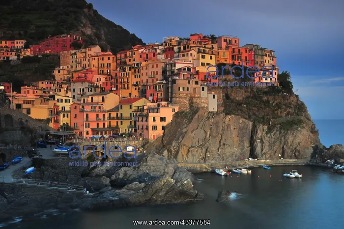 : Fishing village of Manarola, Cinque, Terre, Liguria : Fishing village of Manarola, Cinque, Terre, Liguria