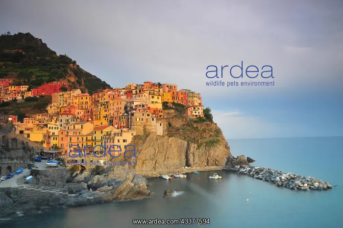  : Fishing village of Manarola, Cinque, Terre, Liguria