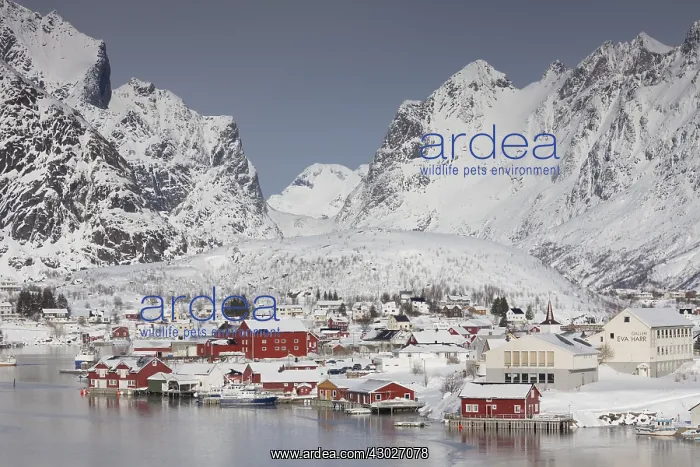 : Fishing village Reine on the Lofoten Islands in : Fishing village Reine on the Lofoten Islands in