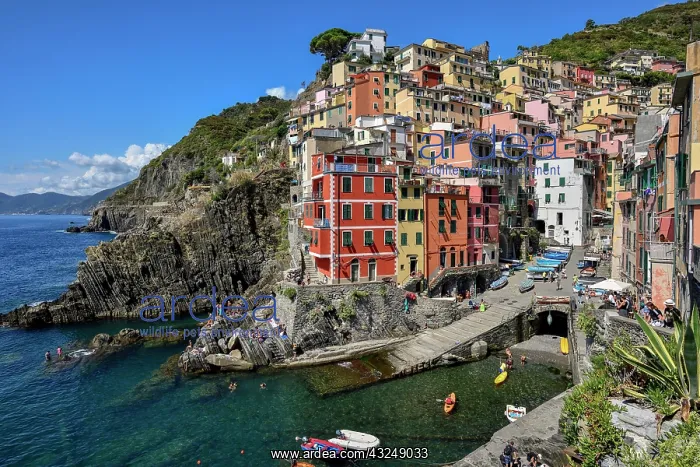 : Fishing village of Riomaggiore, village view, Cinque : Fishing village of Riomaggiore, village view, Cinque