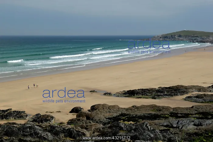 : Fistral Beach, Newquay, Cornwall, England, United : Fistral Beach, Newquay, Cornwall, England, United