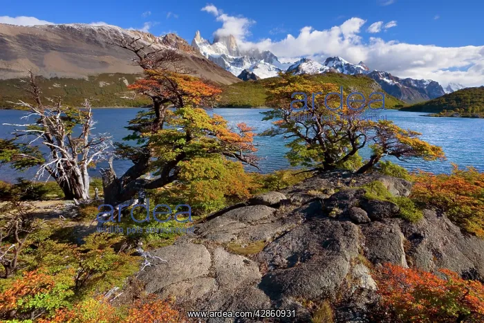 : Fitz Roy Massif - mountain scenery including Cerro : Fitz Roy Massif - mountain scenery including Cerro