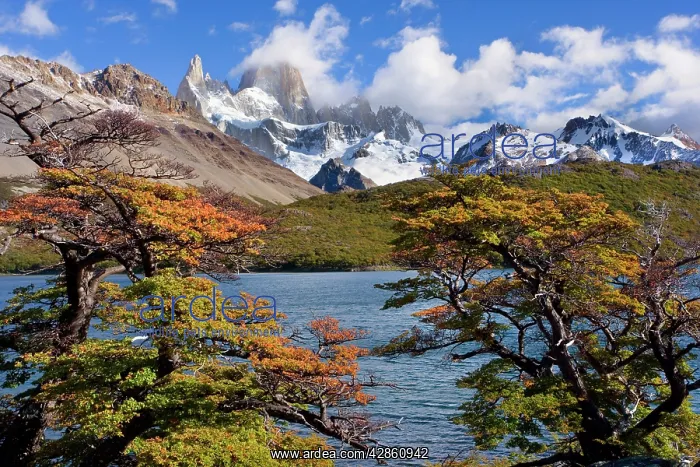 : Fitz Roy Massif - mountain scenery including Cerro : Fitz Roy Massif - mountain scenery including Cerro