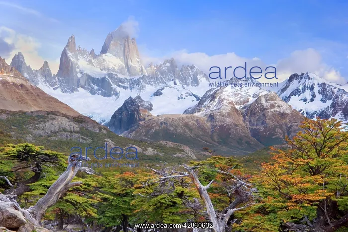 : Fitz Roy Massif - mountain scenery seen from Mirador : Fitz Roy Massif - mountain scenery seen from Mirador