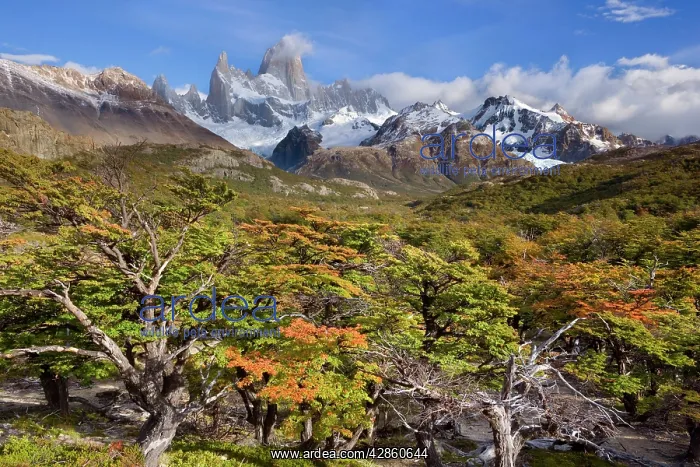 : Fitz Roy Massif - mountain scenery seen from Mirador : Fitz Roy Massif - mountain scenery seen from Mirador